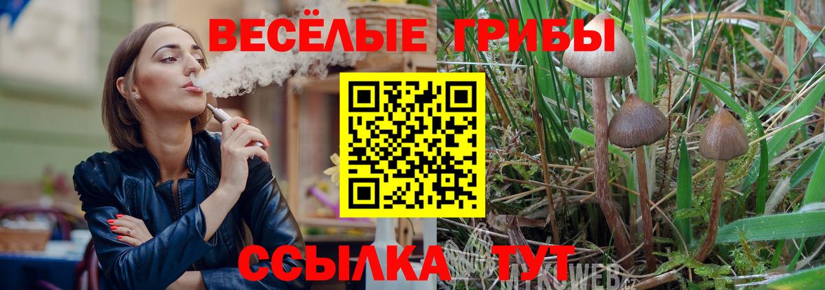 Железногорск  Галлюциногенные грибы Psilocybine cubensis  Галлюциногенные грибы MAGIC MUSHROOMS  Вход с VPN 